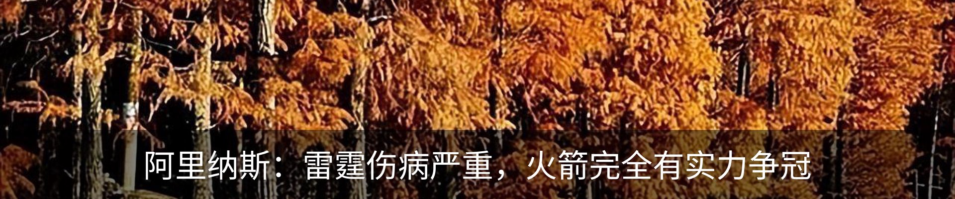 内页banner